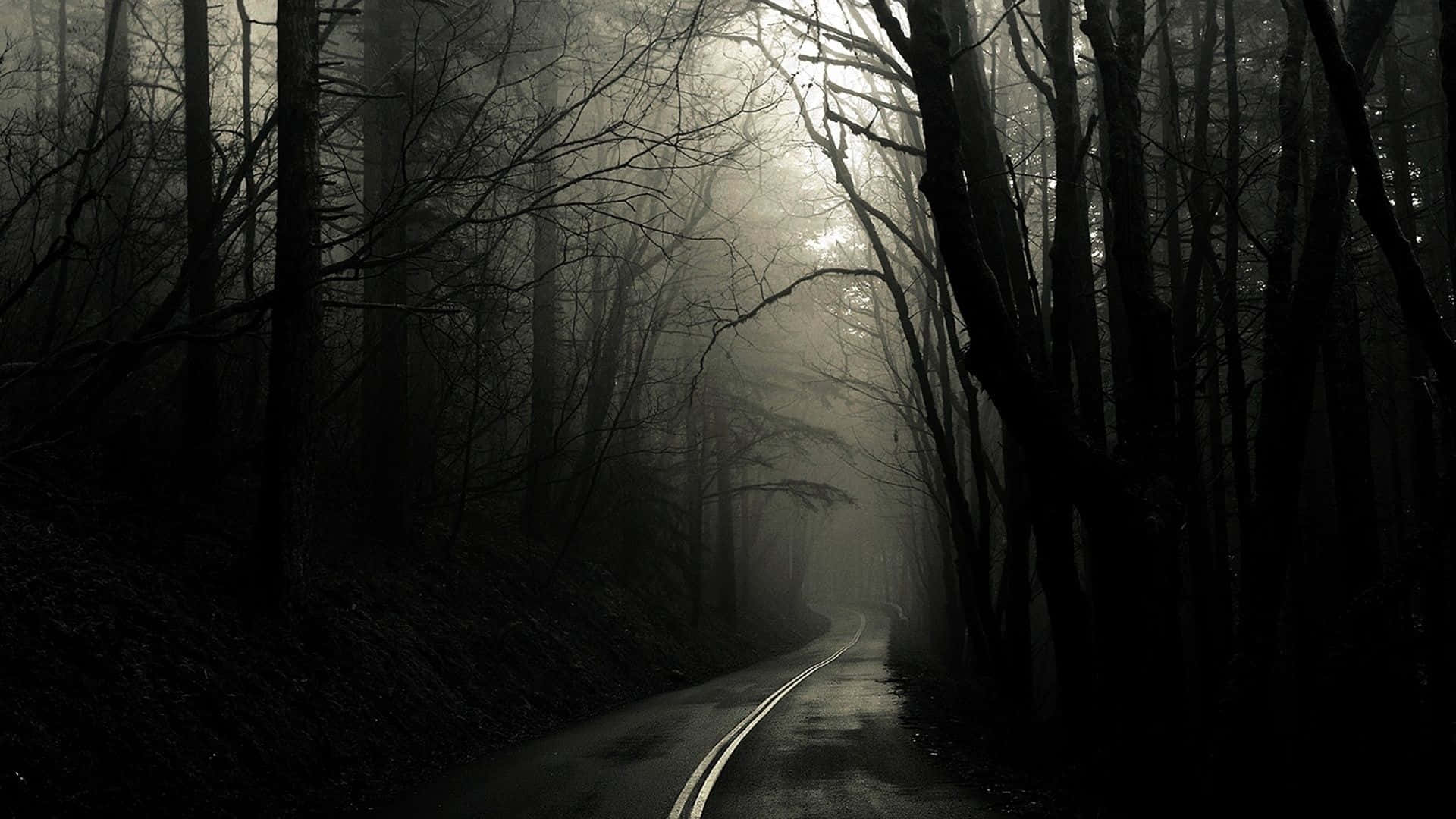 Spooky Dark Forest Desktop Wallpaper