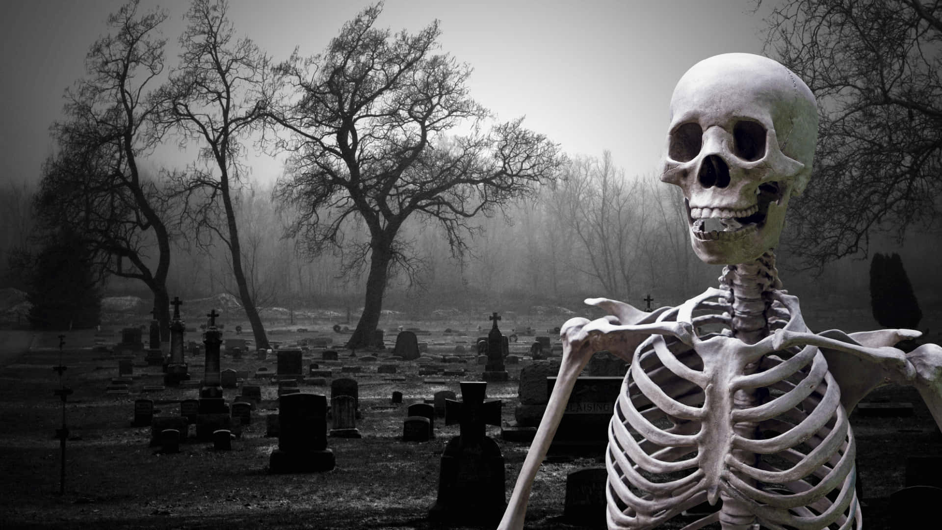 A Skeleton Standing In A Cemetery