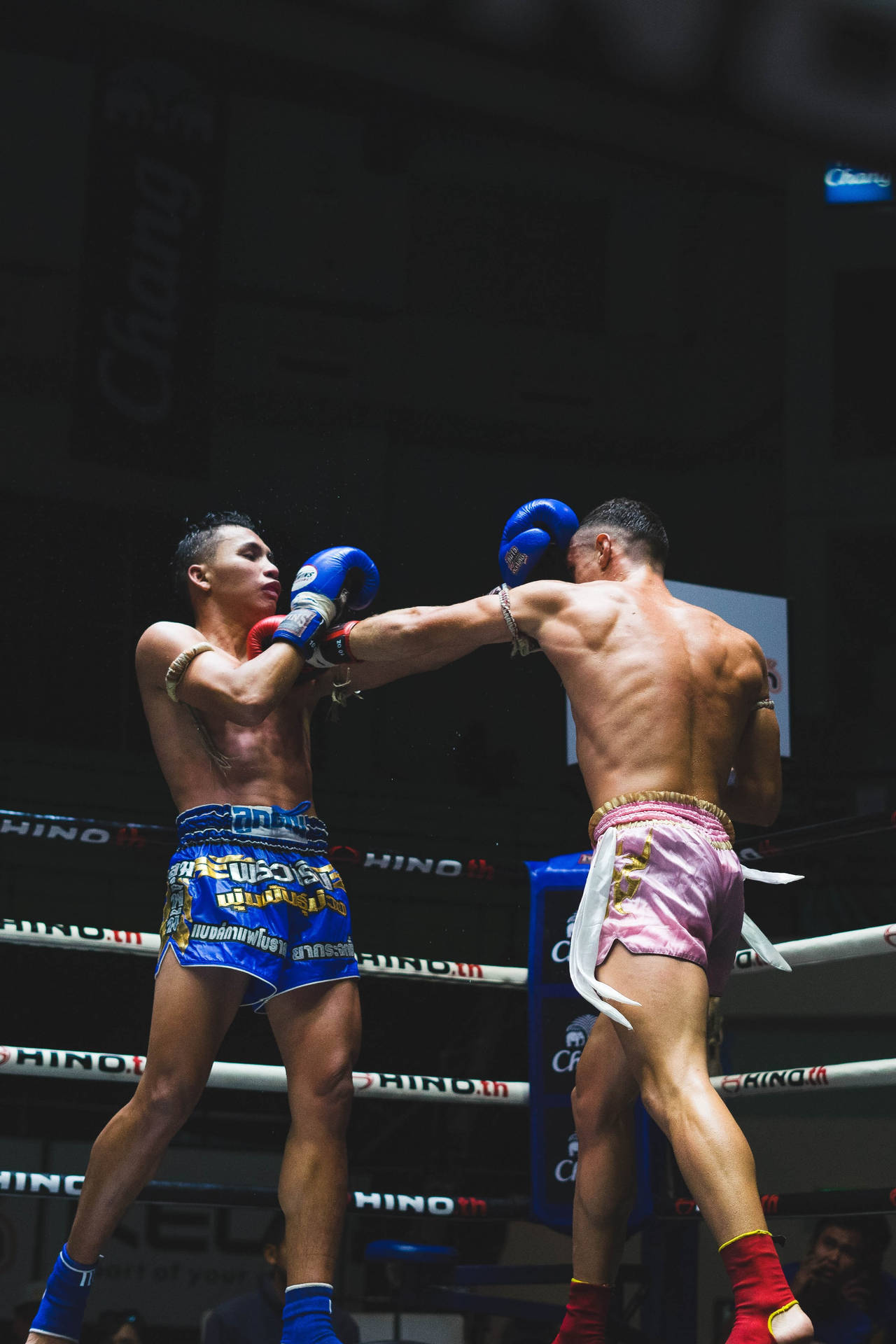 Luchadoresde Muay Thai Deportivo. Fondo de pantalla