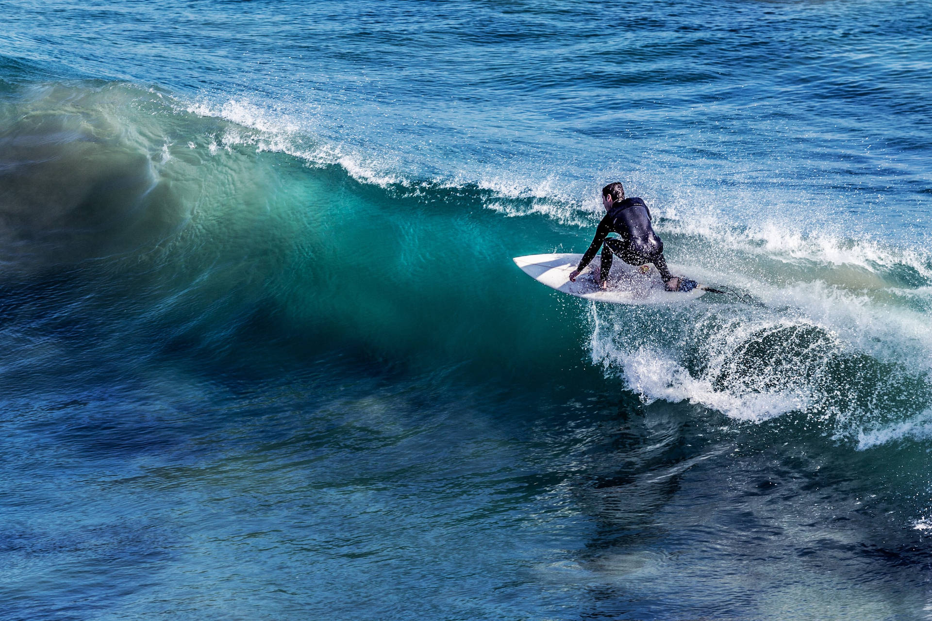 Surferpracticando Deporte Surfeando Una Ola Fondo de pantalla