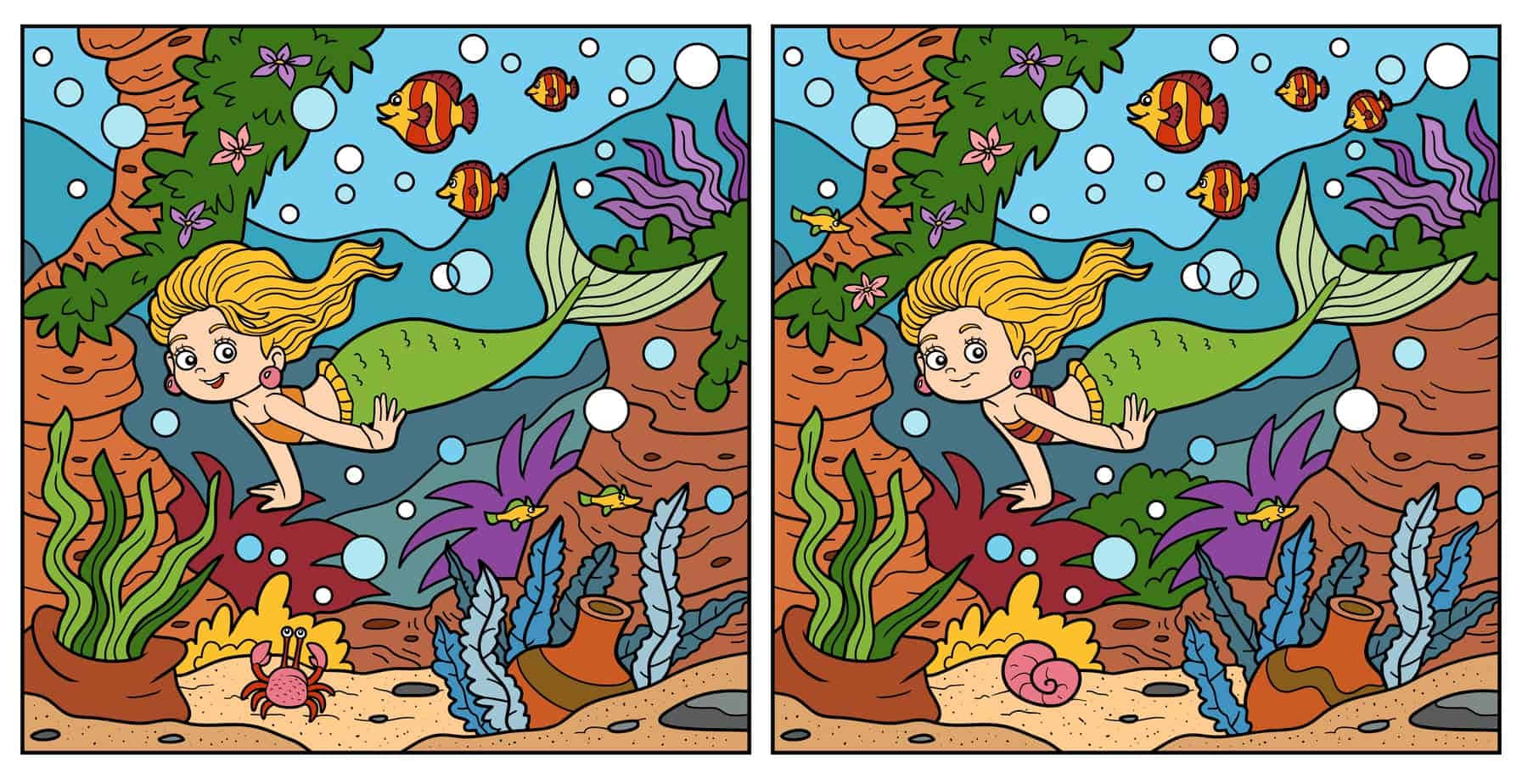 A Mermaid And Fish In The Ocean