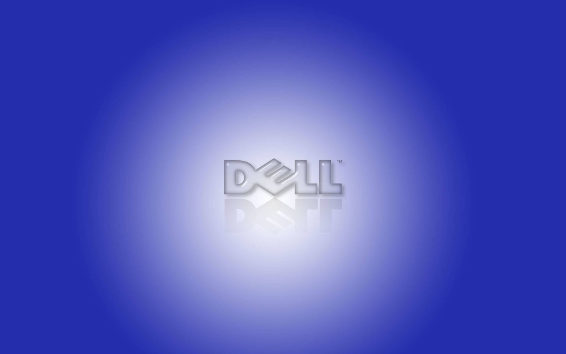 Spotlightet Dell 4k-logo Wallpaper
