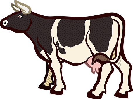Spotted Cow Illustration PNG