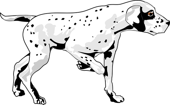 Spotted Dog Graphic Art PNG