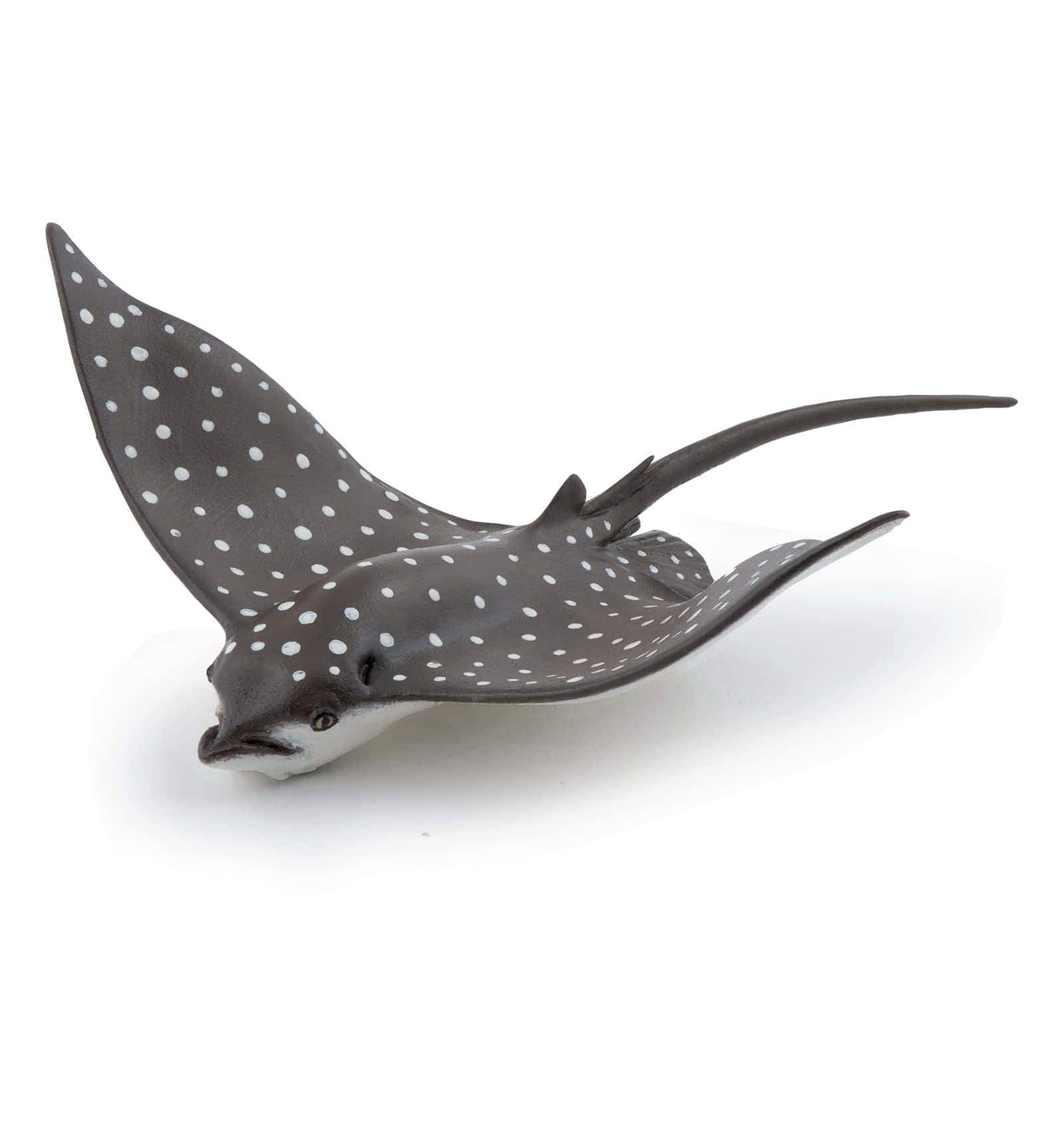 Spotted Eagle Ray Figurine Wallpaper