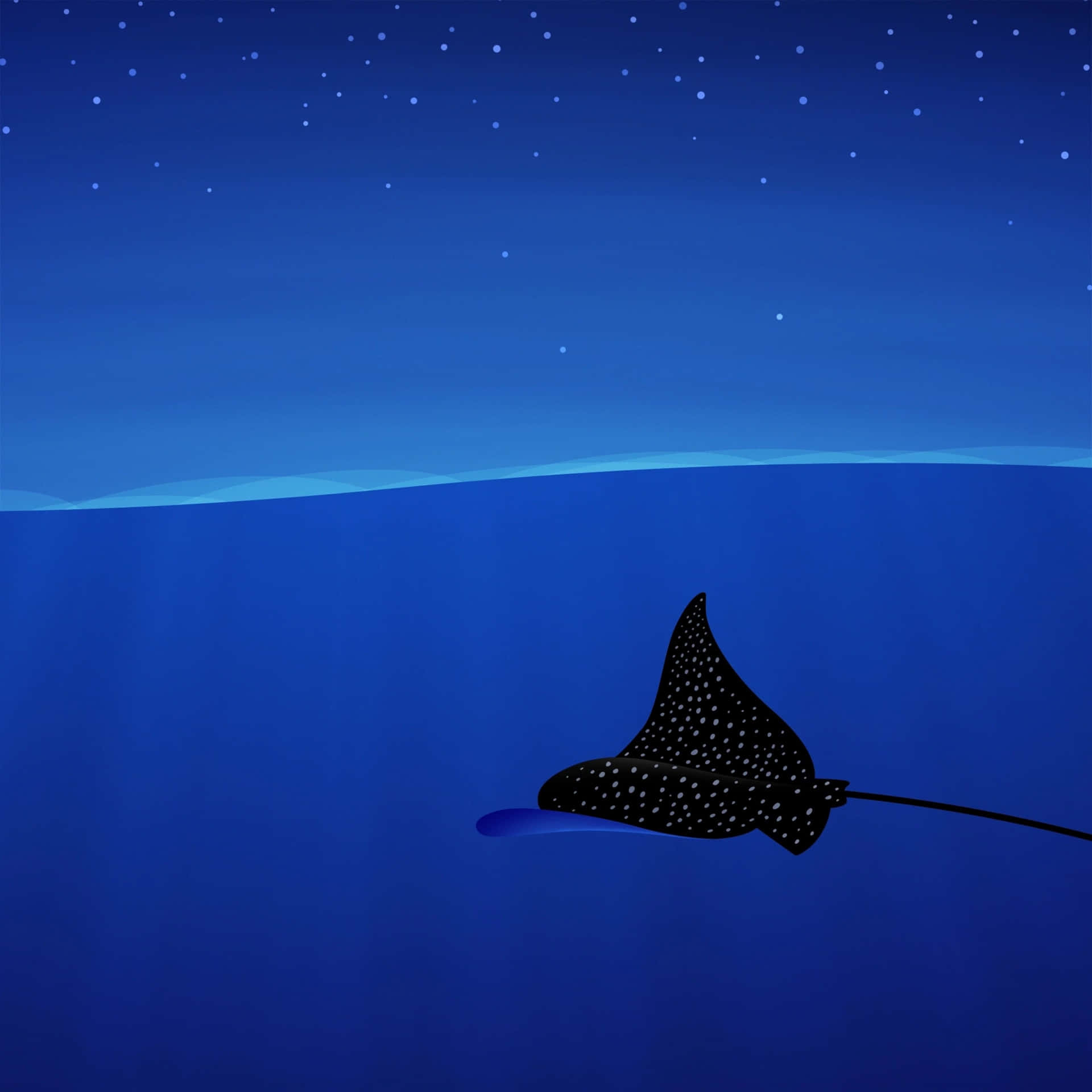Spotted Eagle Ray Night Swim Wallpaper