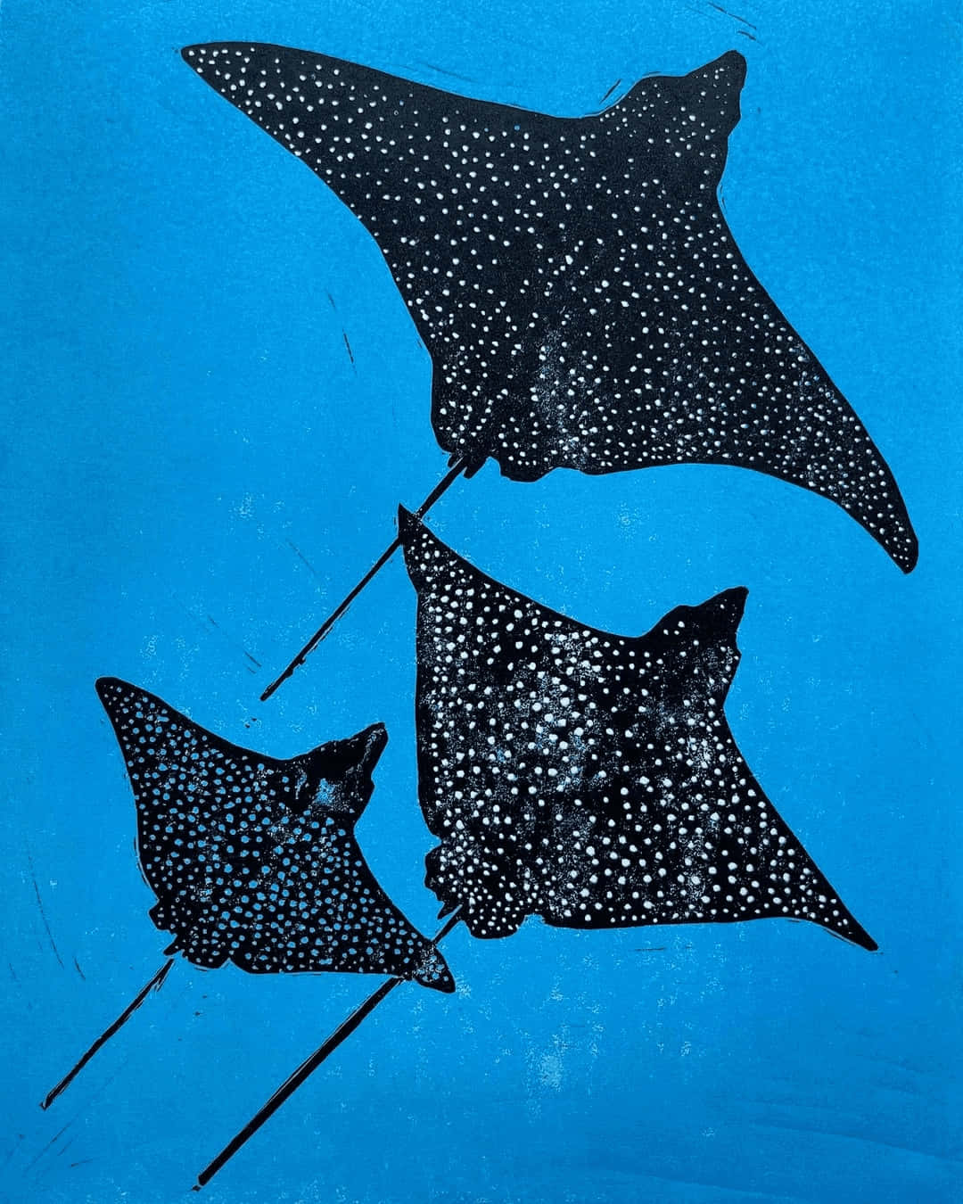 Spotted Eagle Rays Blue Background Wallpaper