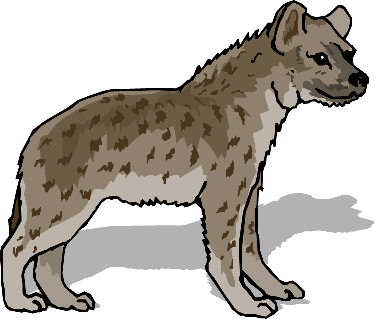Spotted Hyena Illustration.png PNG