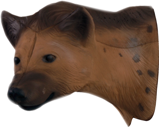 Spotted Hyena Mask Profile PNG
