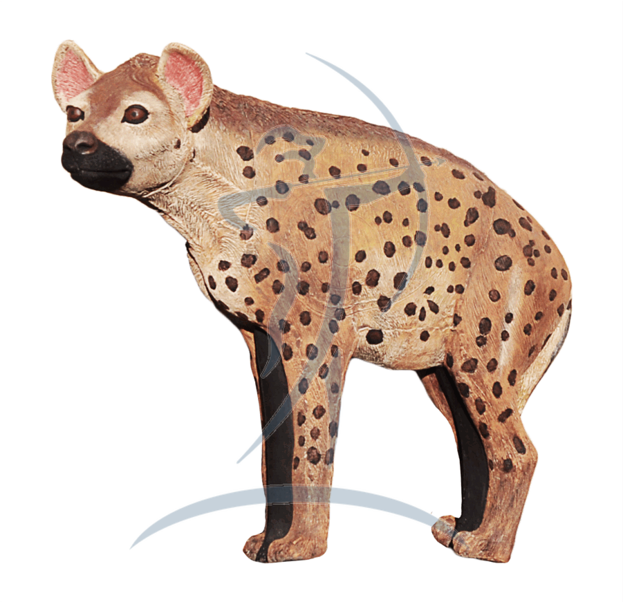 Spotted Hyena Standing Transparent Background PNG