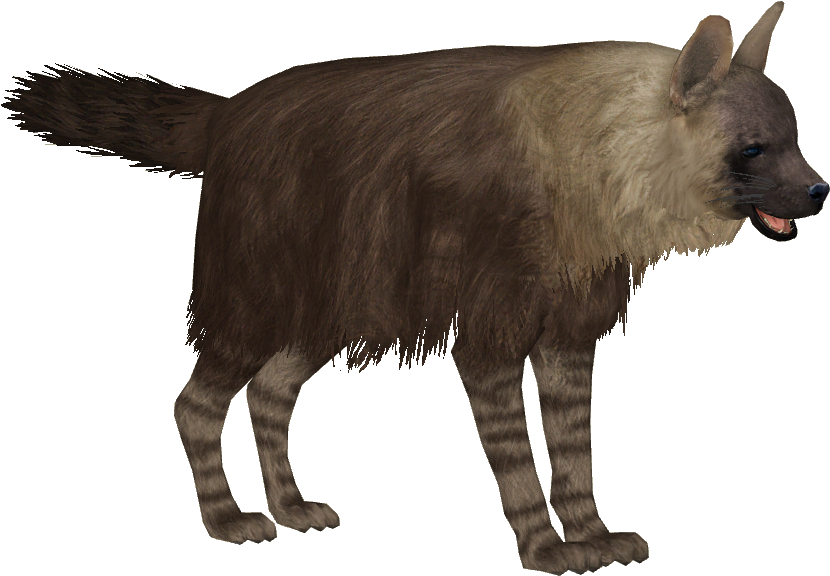 Spotted Hyena Standing Transparent Background PNG