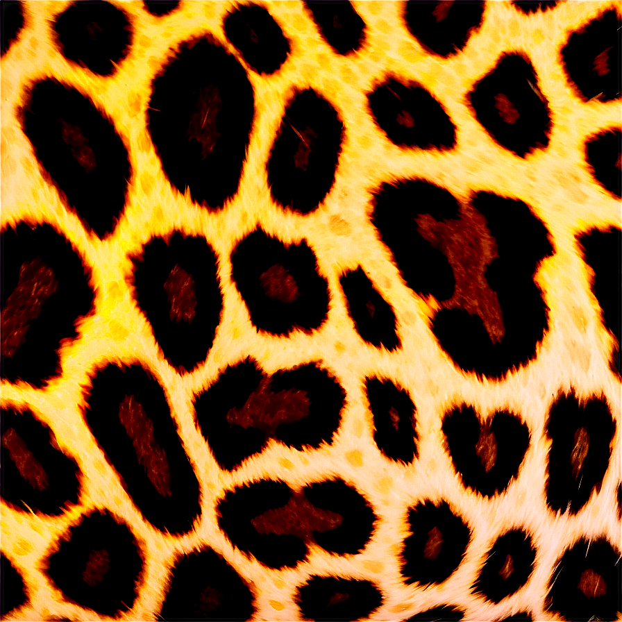 Spotted Leopard Hide Png 27 PNG