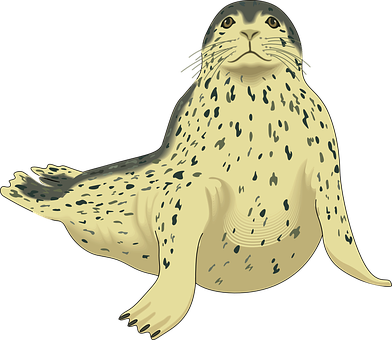 Spotted Seal Illustration PNG