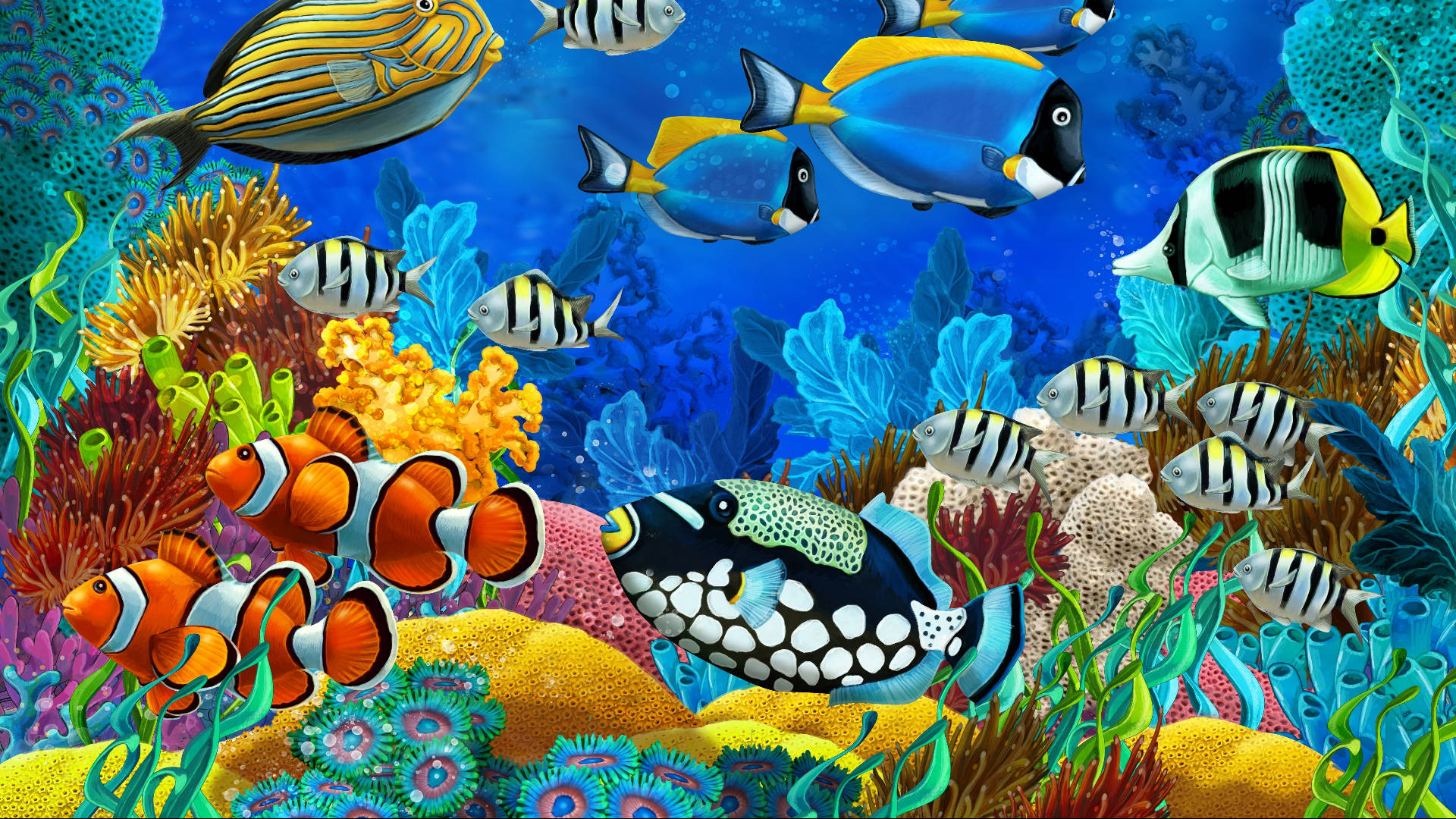 tropical fishes wallpapers