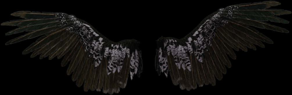 Spread Angel Wings Black Background PNG