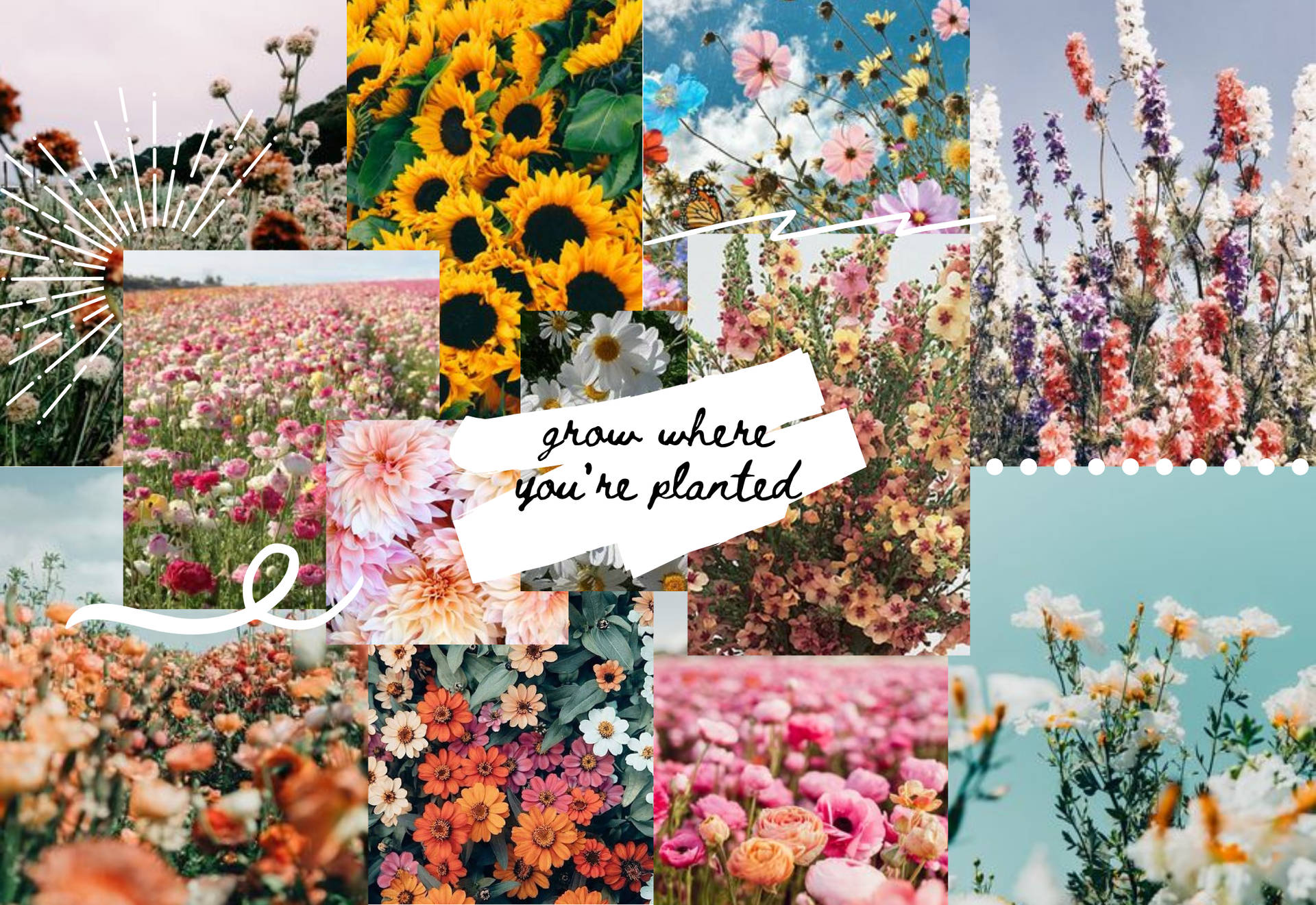 Download Spring Aesthetic Collage Wallpaper  Wallpaperscom