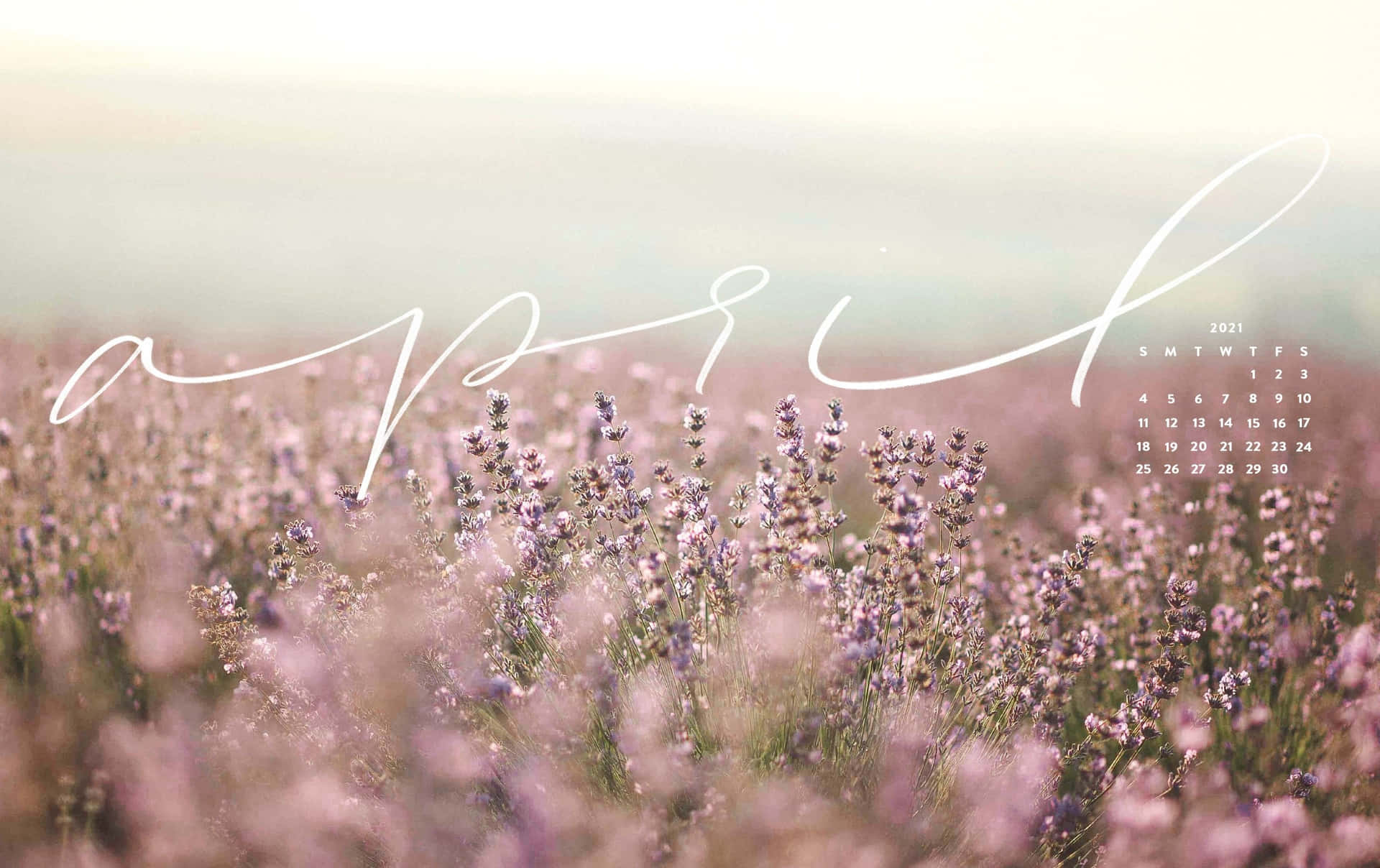 Enjoy the beauty of the season with this gorgeous Spring Aesthetic Desktop wallpaper! Wallpaper