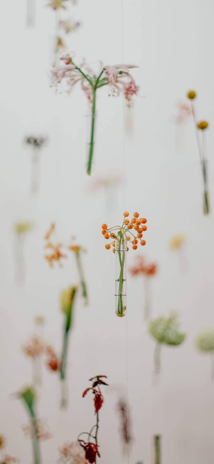 Frühlingsästhetikhängende Blumen Wallpaper