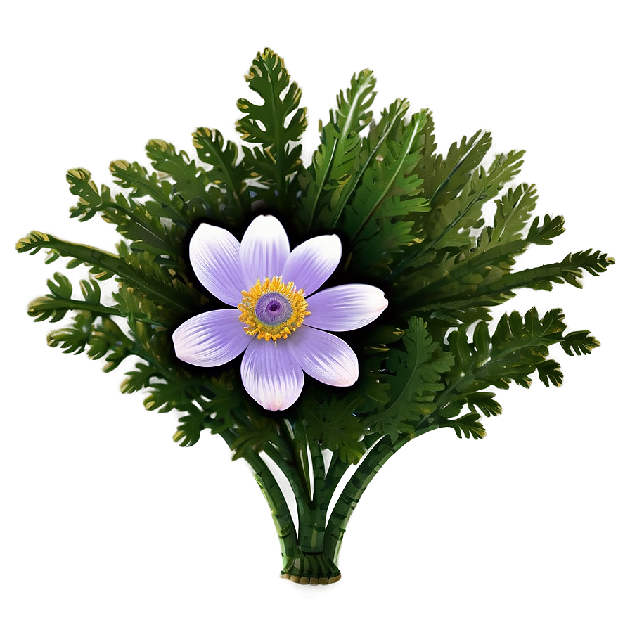 Spring Anemone Bloom Png Qqo PNG