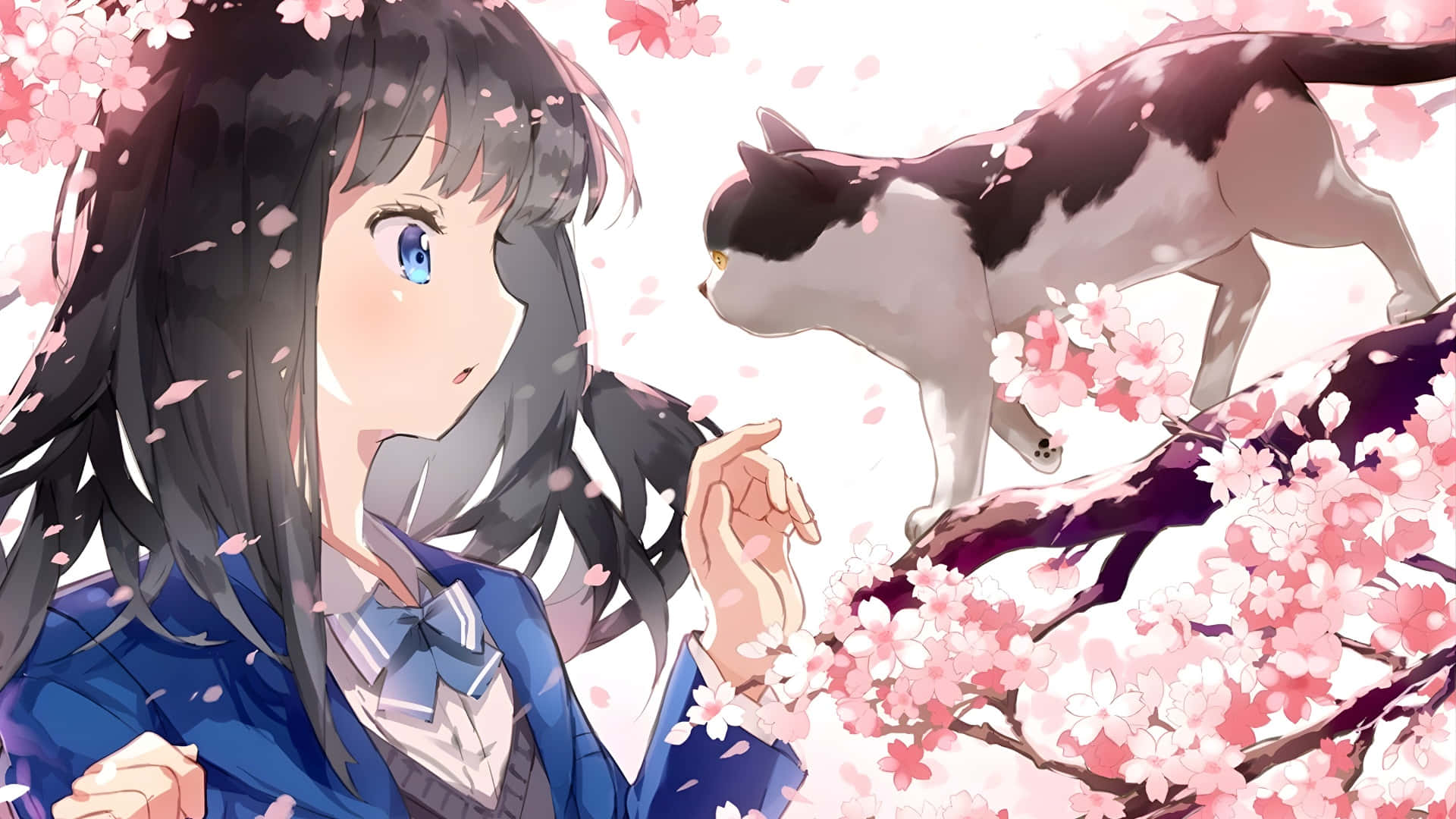 Gadis Anime Musim Semi Dengan Kucing Wallpaper