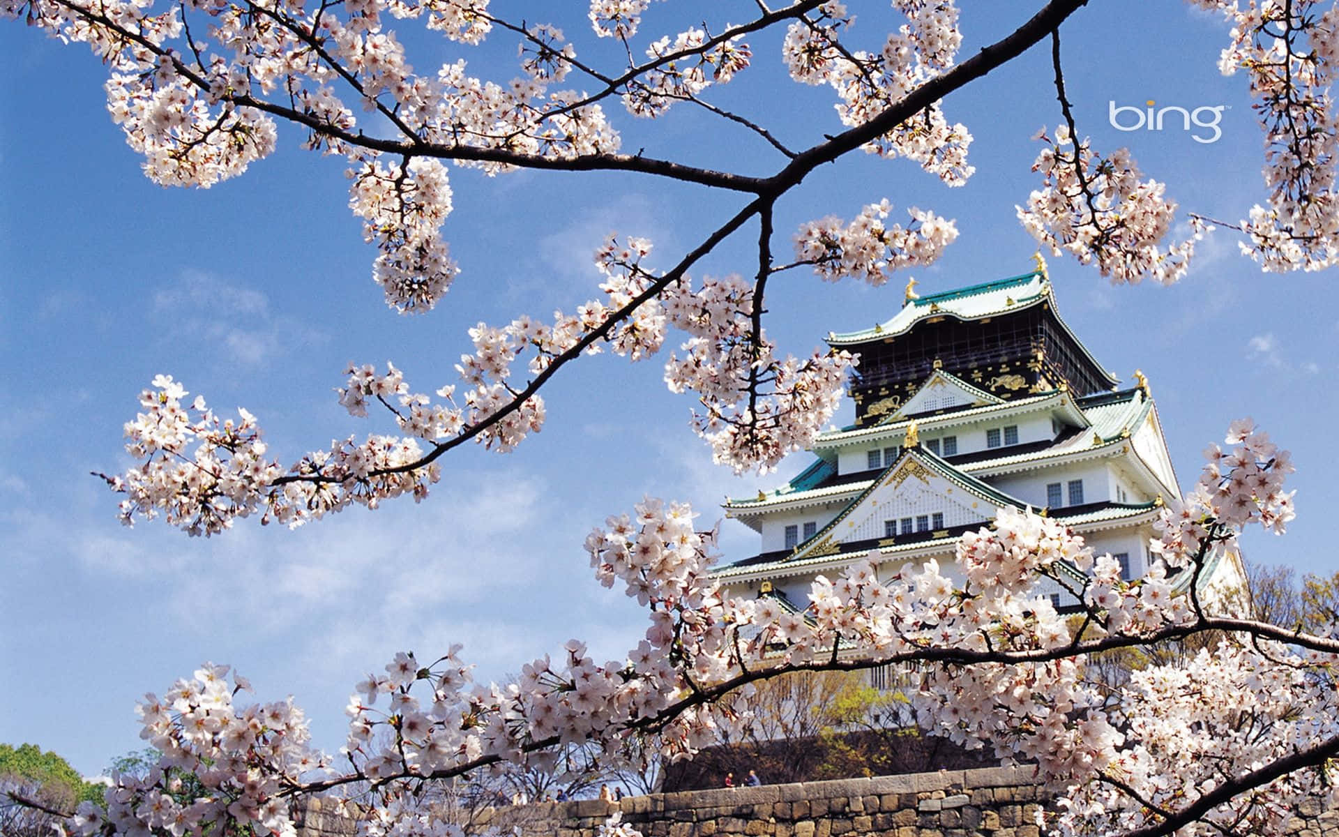 Castellodi Osaka Con Sfondo Di Ciliegi Fioriti In Primavera