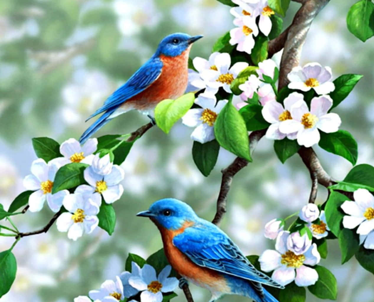Unavibrante Exhibición De Pájaros De Primavera Posados En Ramas Florecientes. Fondo de pantalla