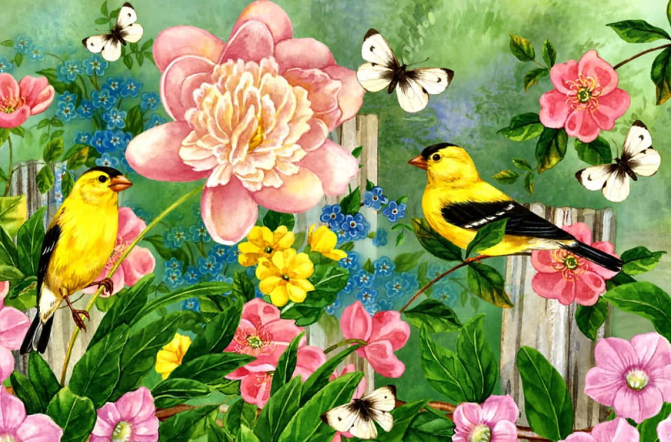 Uncolorido Pájaro Posado En Una Rama Floreciente De Cerezo Fondo de pantalla