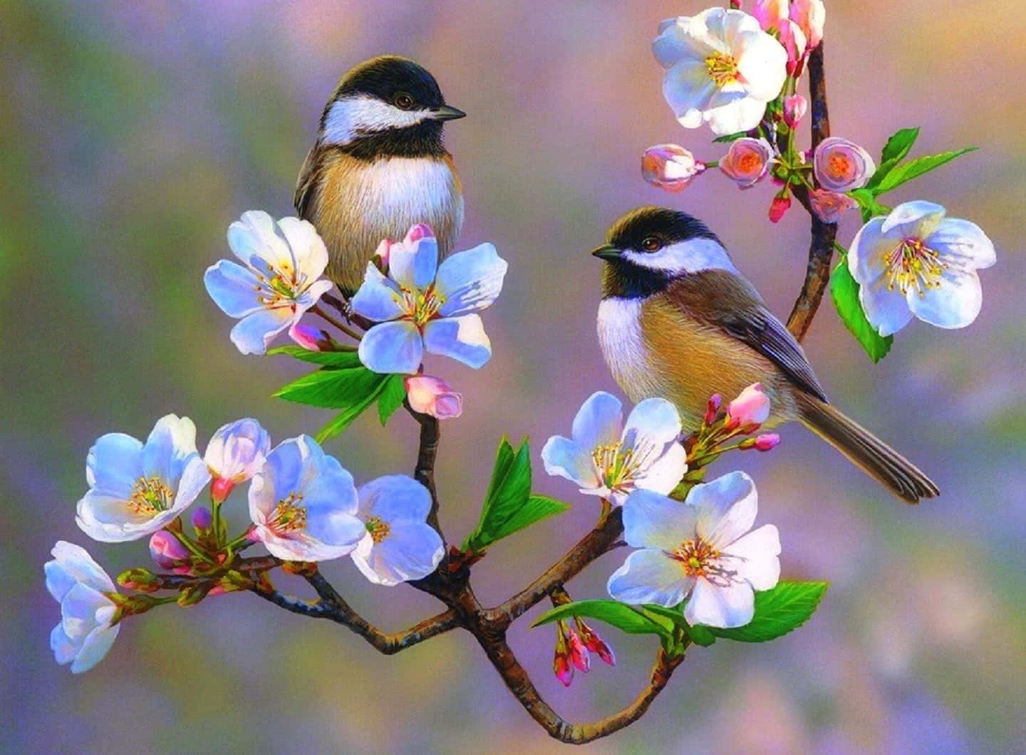 spring flowers and birds wallpaper