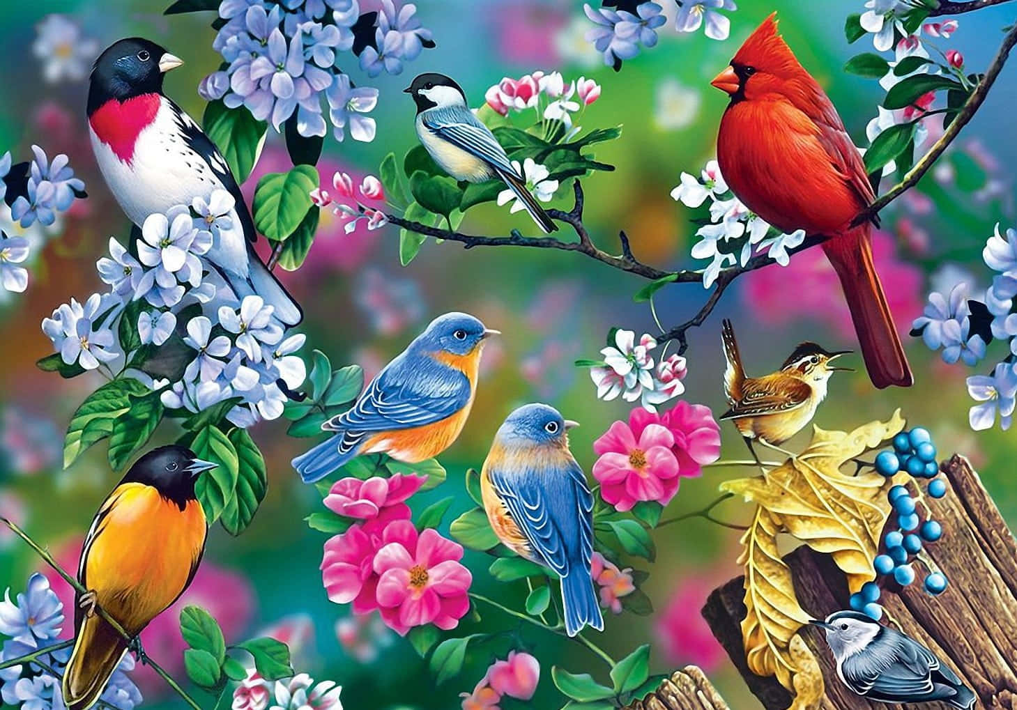 Unhermoso Amanecer De Primavera Con Pájaros Vibrantes. Fondo de pantalla