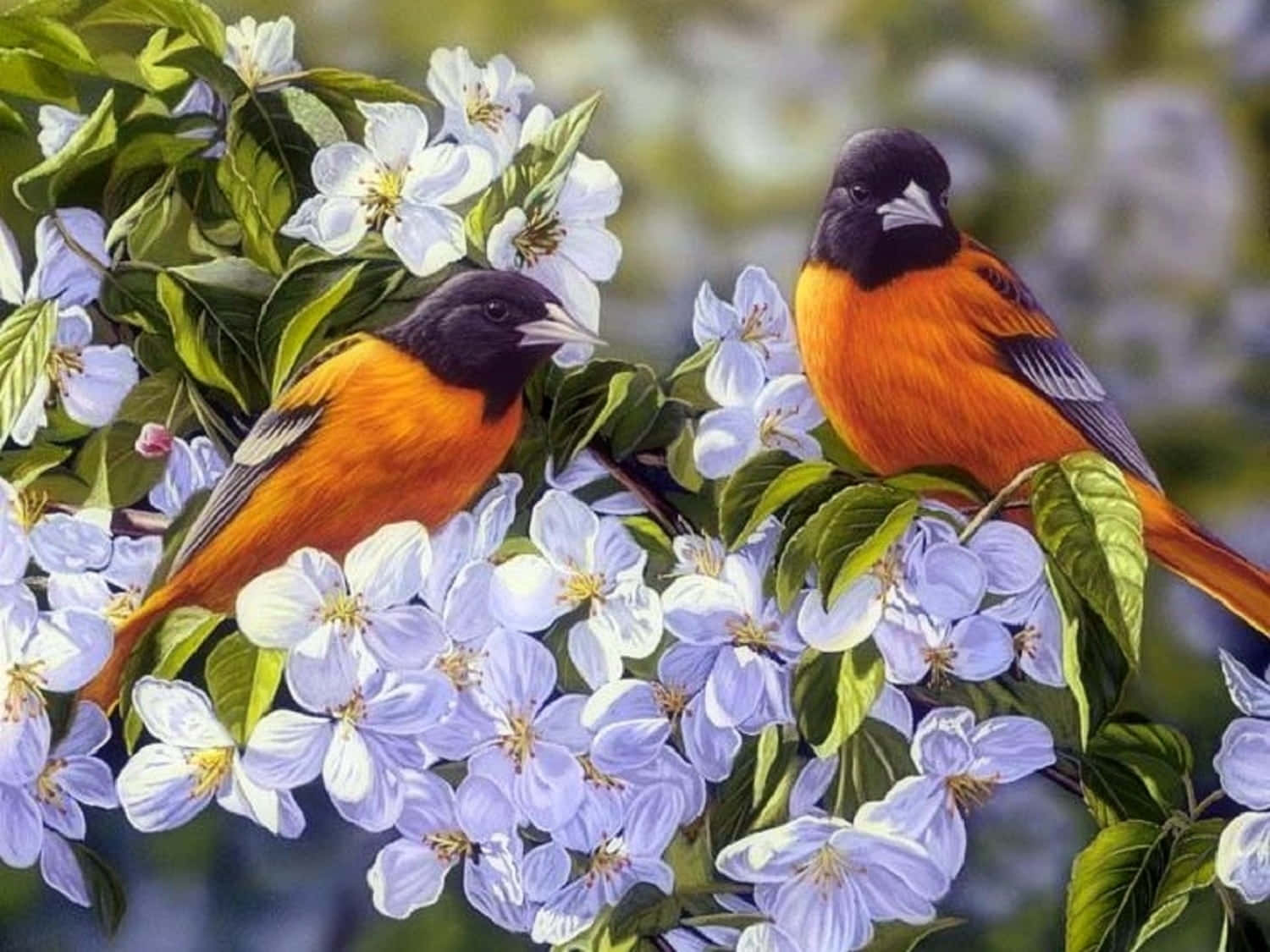 A Chirpy Morning in Spring Wallpaper