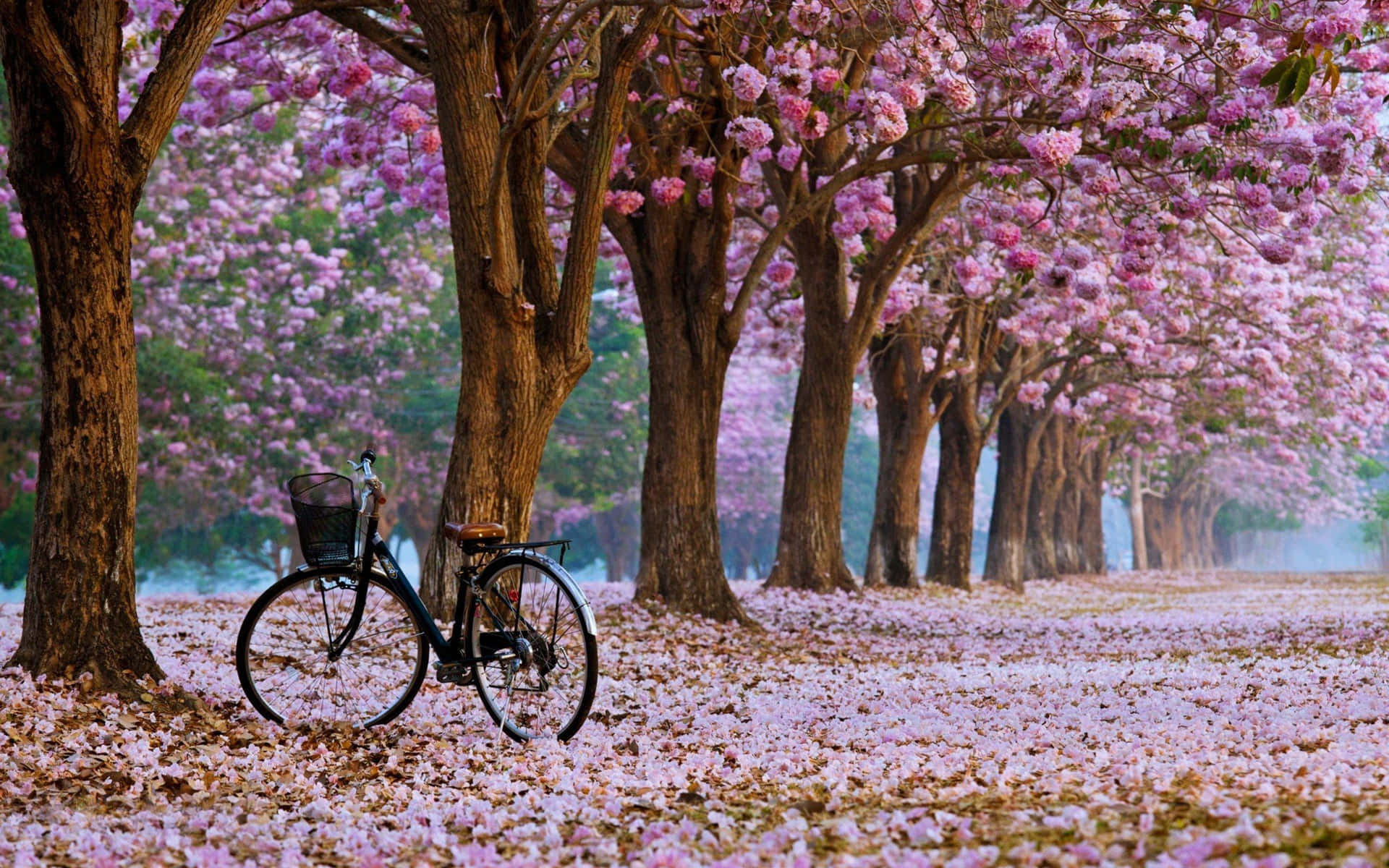 Enchanting Spring Bloom Landscape Wallpaper