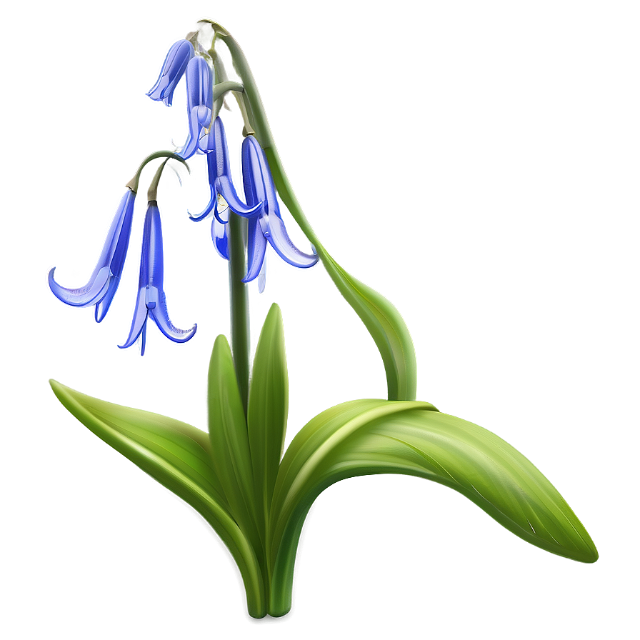Spring Bluebell Flower Png Vwj28 PNG