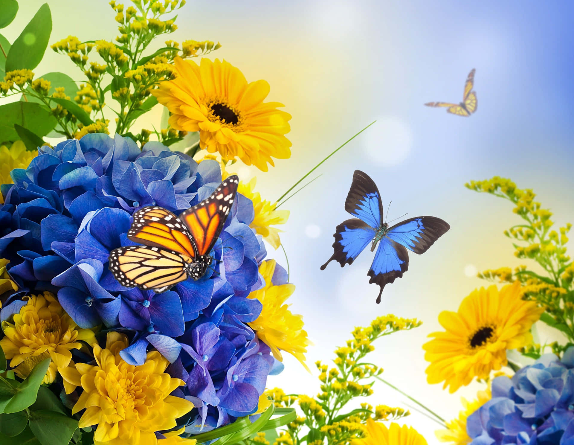 Beautiful Spring Butterflies on Blossoming Flowers Wallpaper