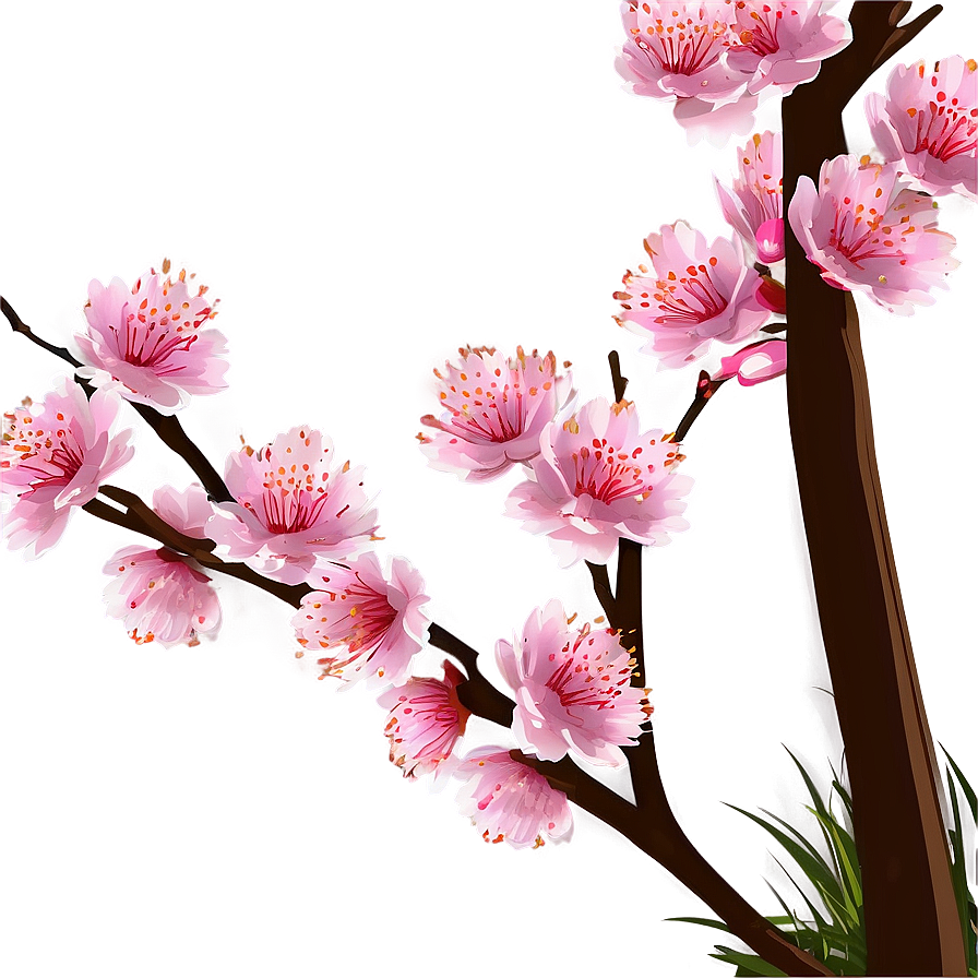 Spring Cherry Blossom Scene Png Kuc PNG