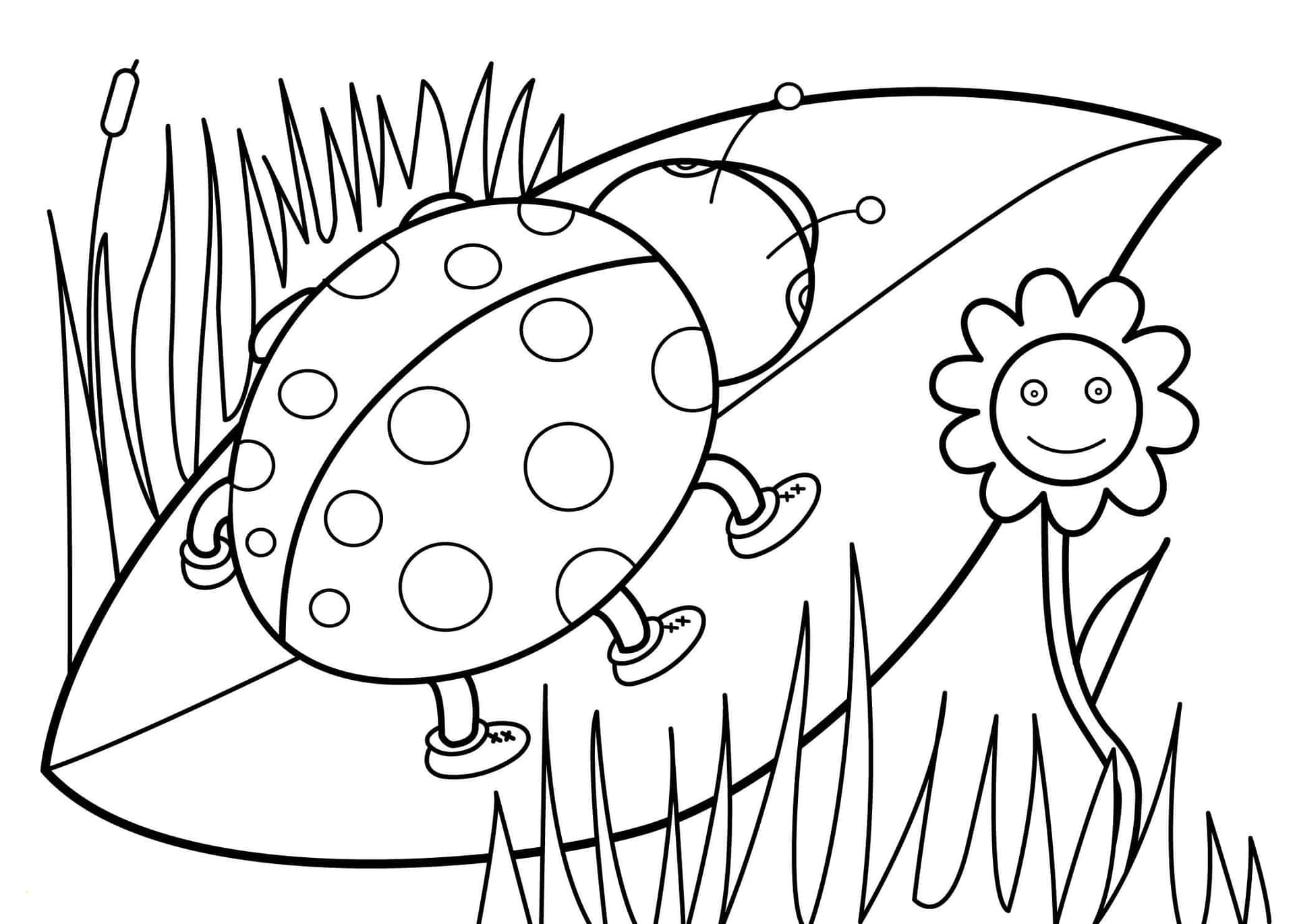 Explore Nature with Spring Coloring Pictures