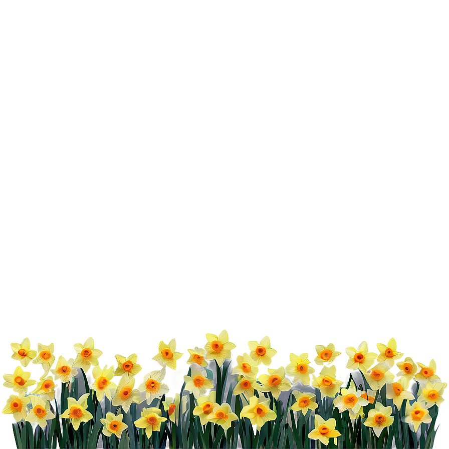Spring Daffodils Field Png 92 PNG
