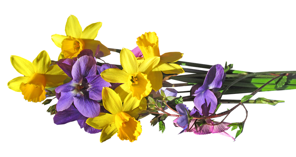 Spring Daffodilsand Violets Bouquet PNG