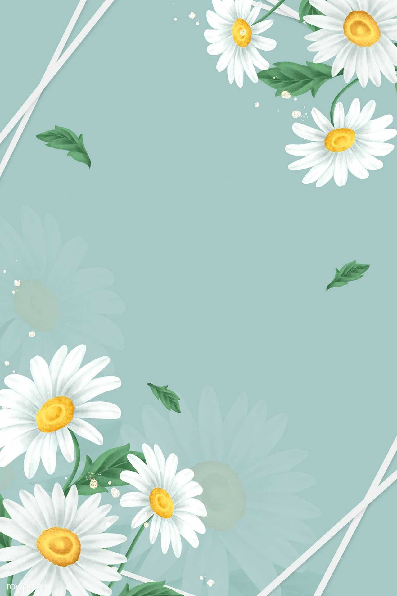 Spring Daisy In Pastel Green Wallpaper