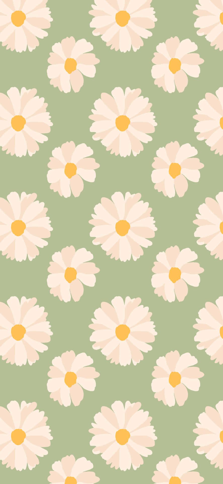 Spring Daisy iPhone Green Background Wallpaper