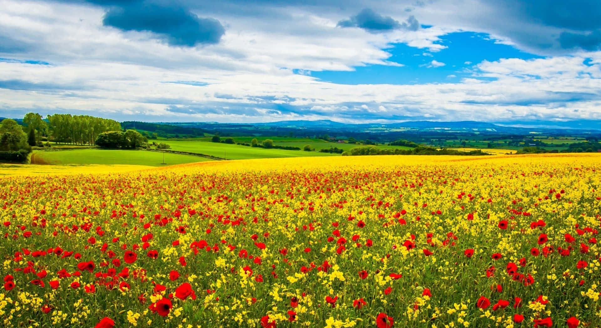 Beautiful Spring Fields Landscape Wallpaper