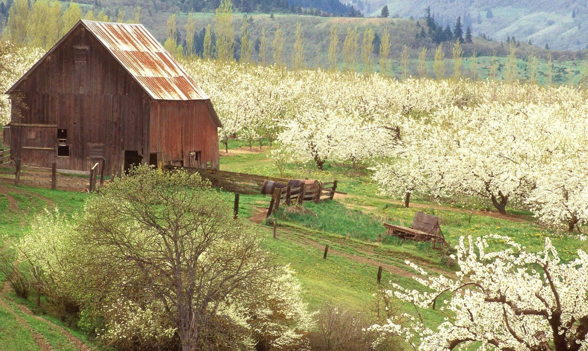 Lush Spring Fields under a Vibrant Sky Wallpaper