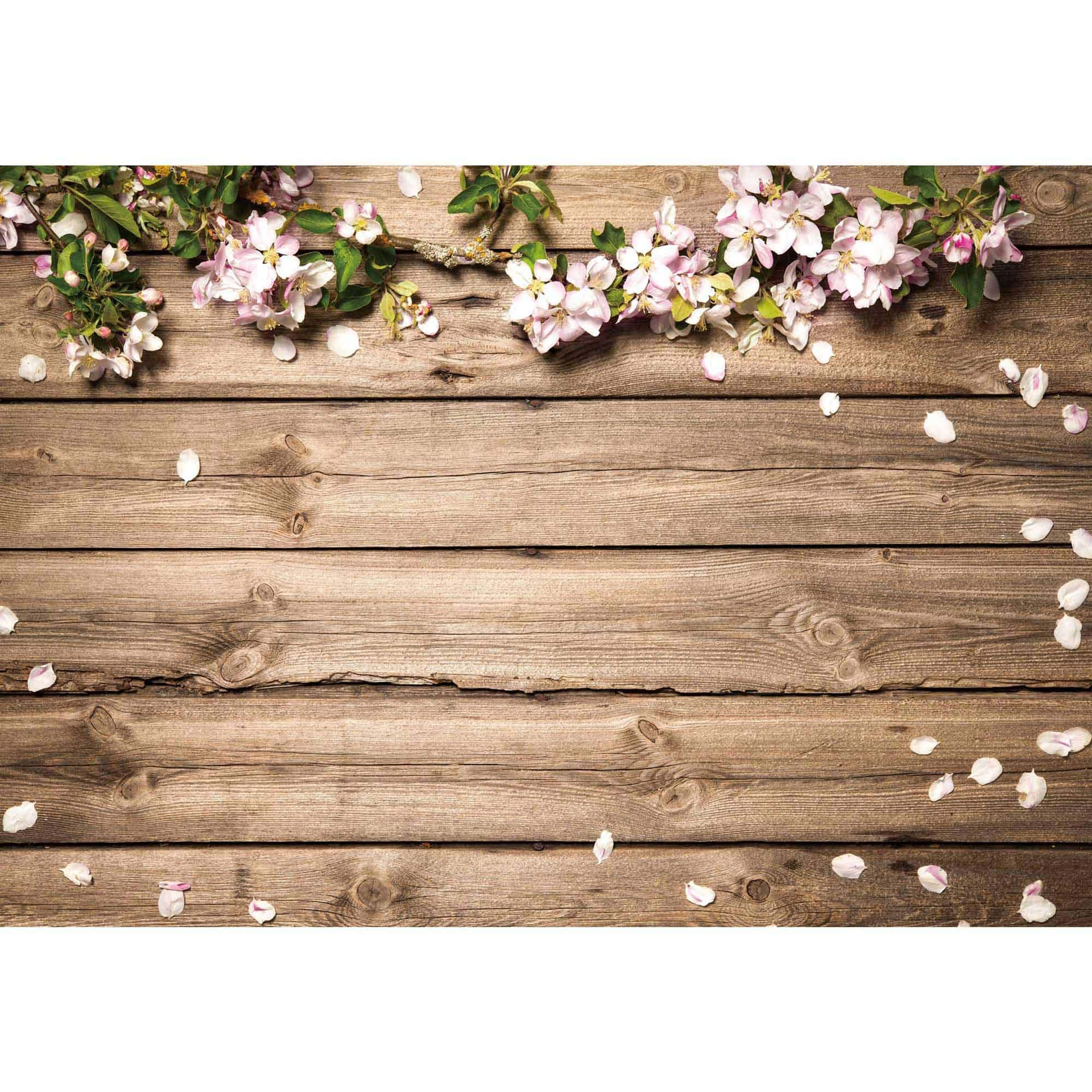 Wooden Backdrop Cherry Blossom Petals Spring Flower Background