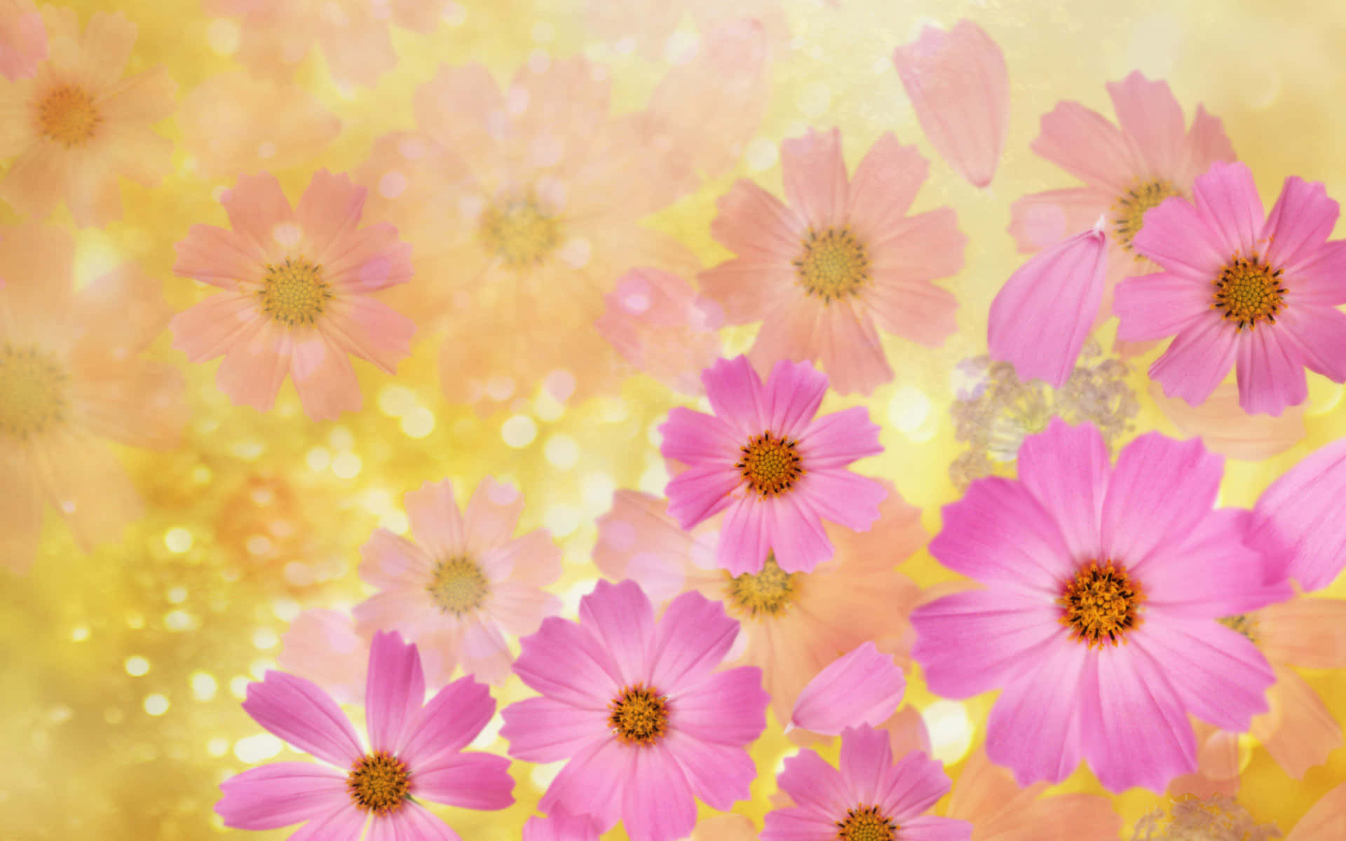 Caption: Blossoming Spring Flower Background