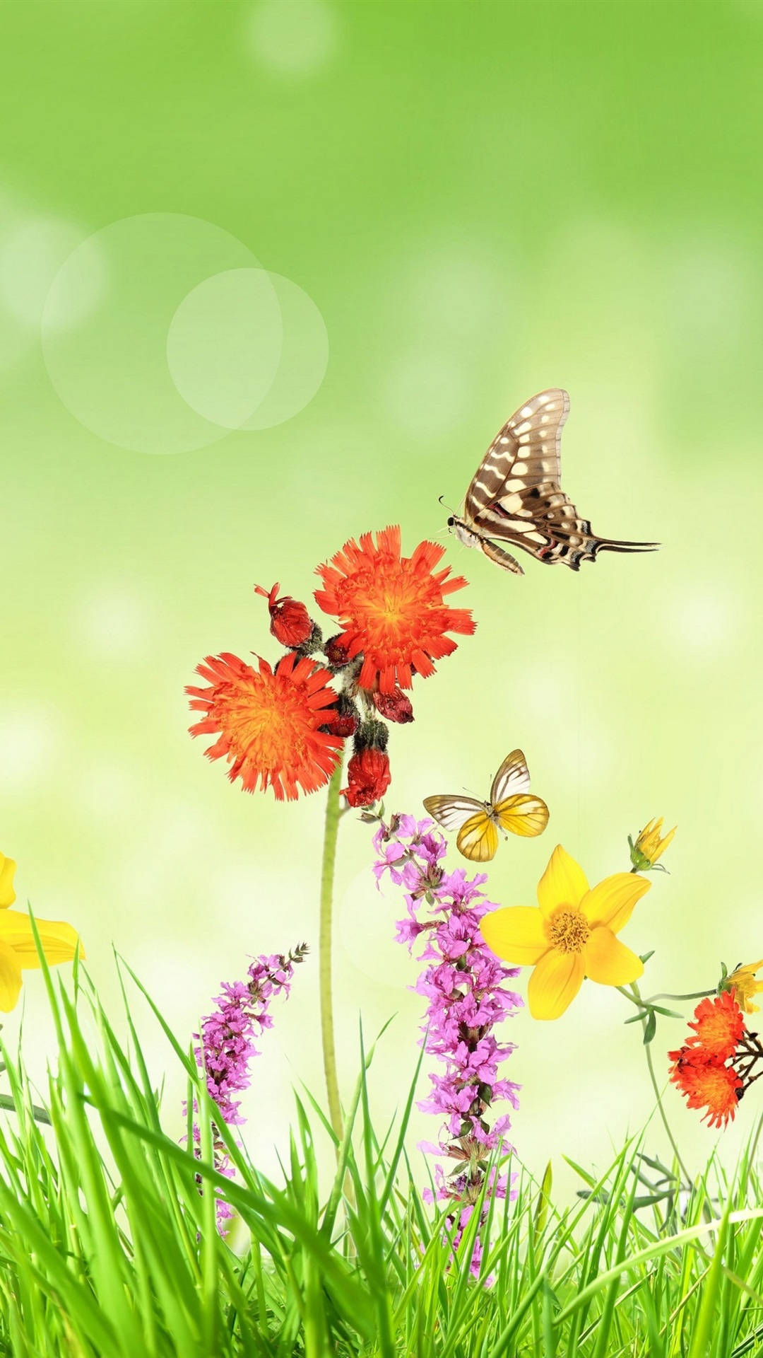Floresde Primavera Arte Digital Para Iphone Fondo de pantalla