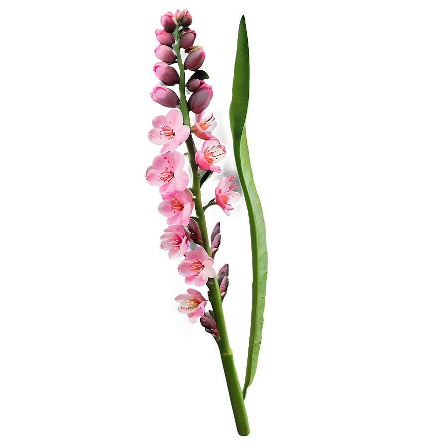 Spring Flower Stem Png Glq8 PNG