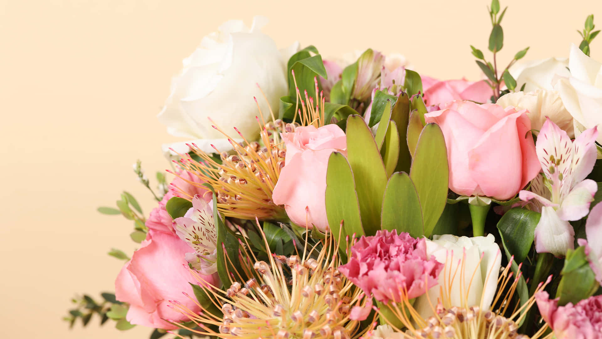 Njutav Vårens Skönhet Genom Att Omge Dig Med Mjuka Färgglada Blommor