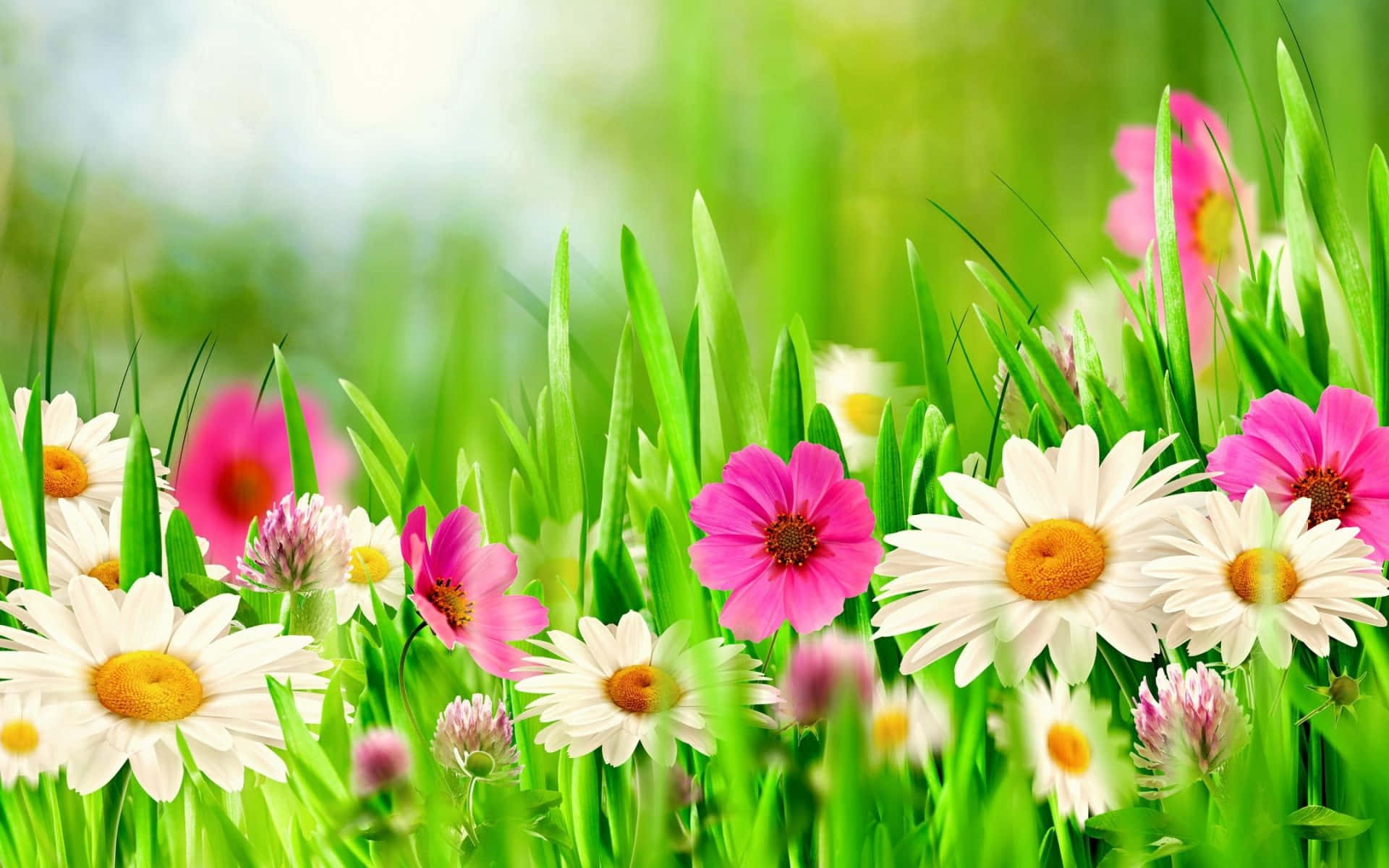 Upplevskönheten I Våren Med Denna Färgglada Bukett Av Blommor.