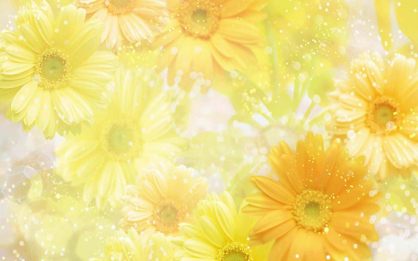 Brighten Up Your Desktop With A Cheery Bed of Spring Flowers Wallpaper