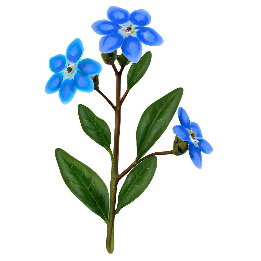 Spring Forget-me-not Png 2 PNG