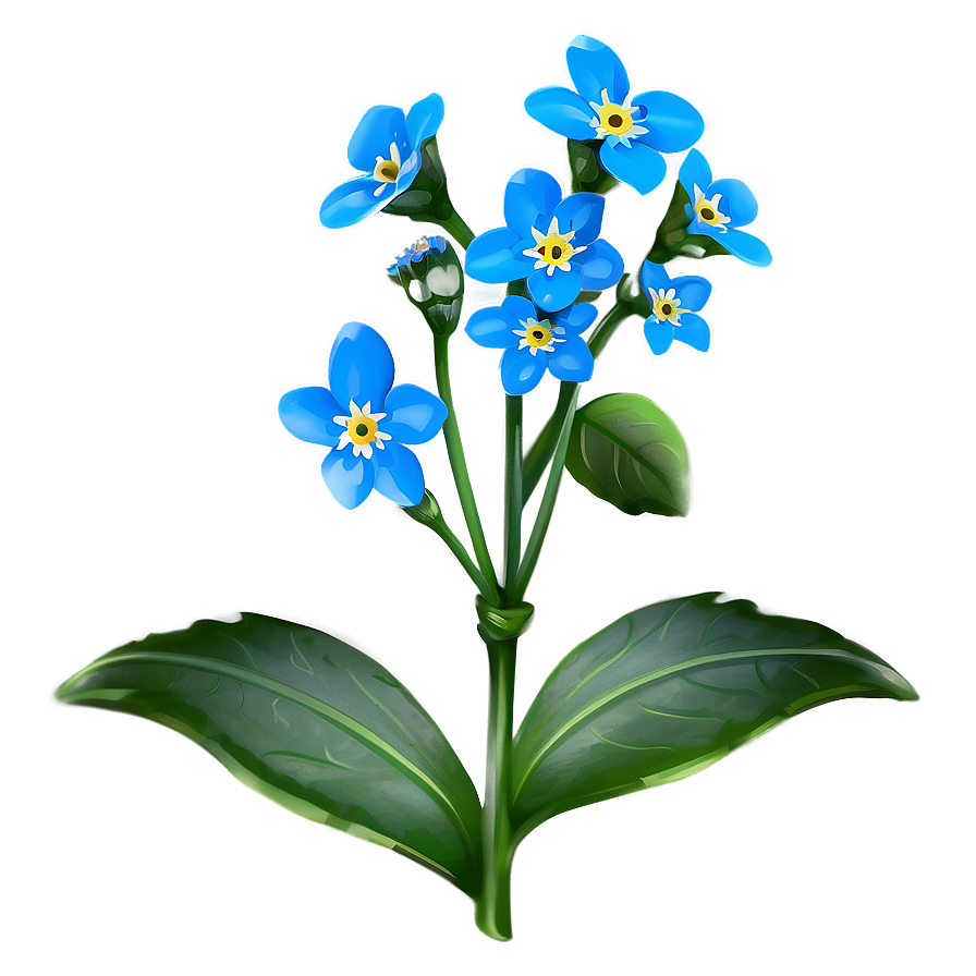 Spring Forget-me-not Png 56 PNG